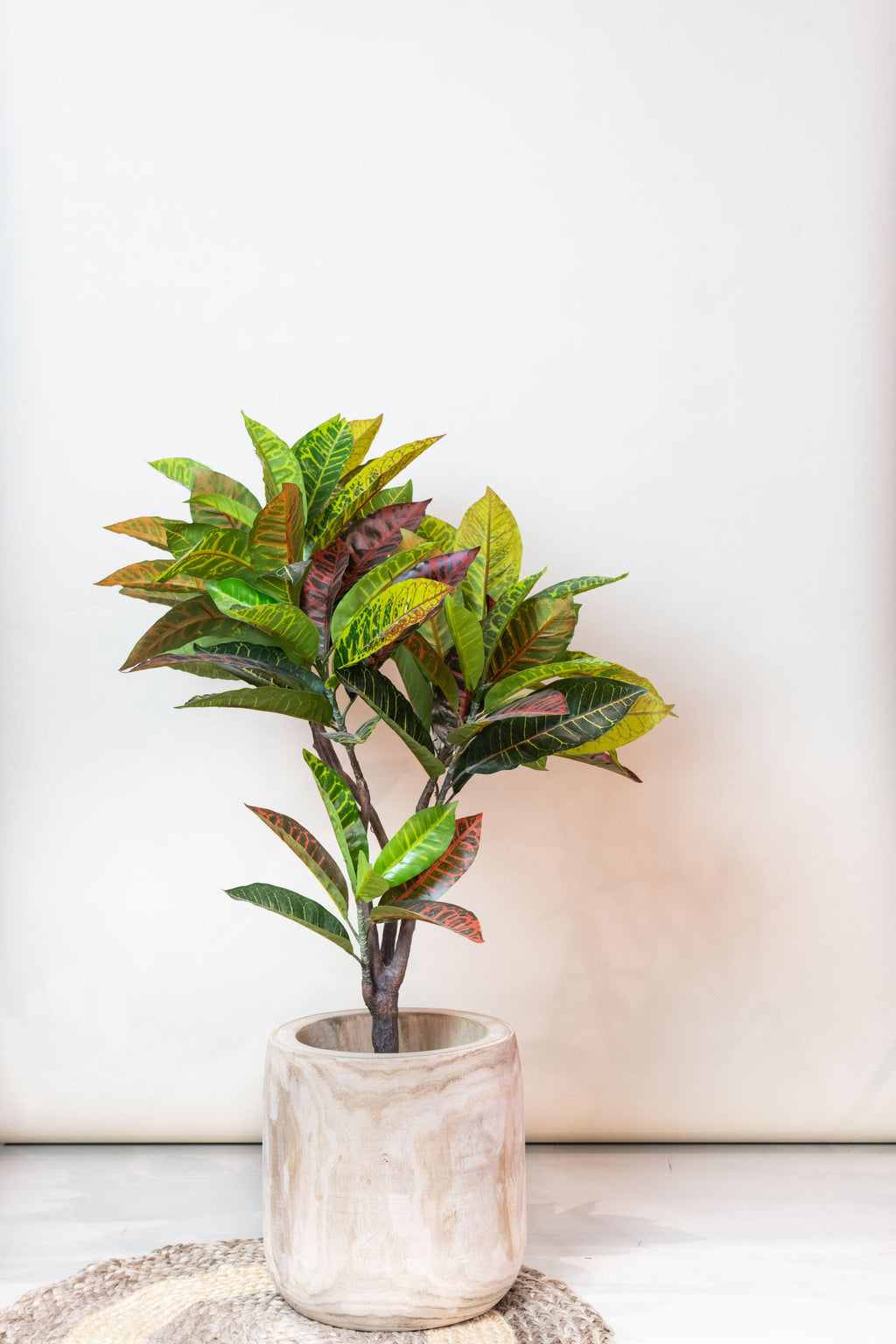 Plante artificielle - Croton Codiaeum - Croton à feuilles variées - 95 cm