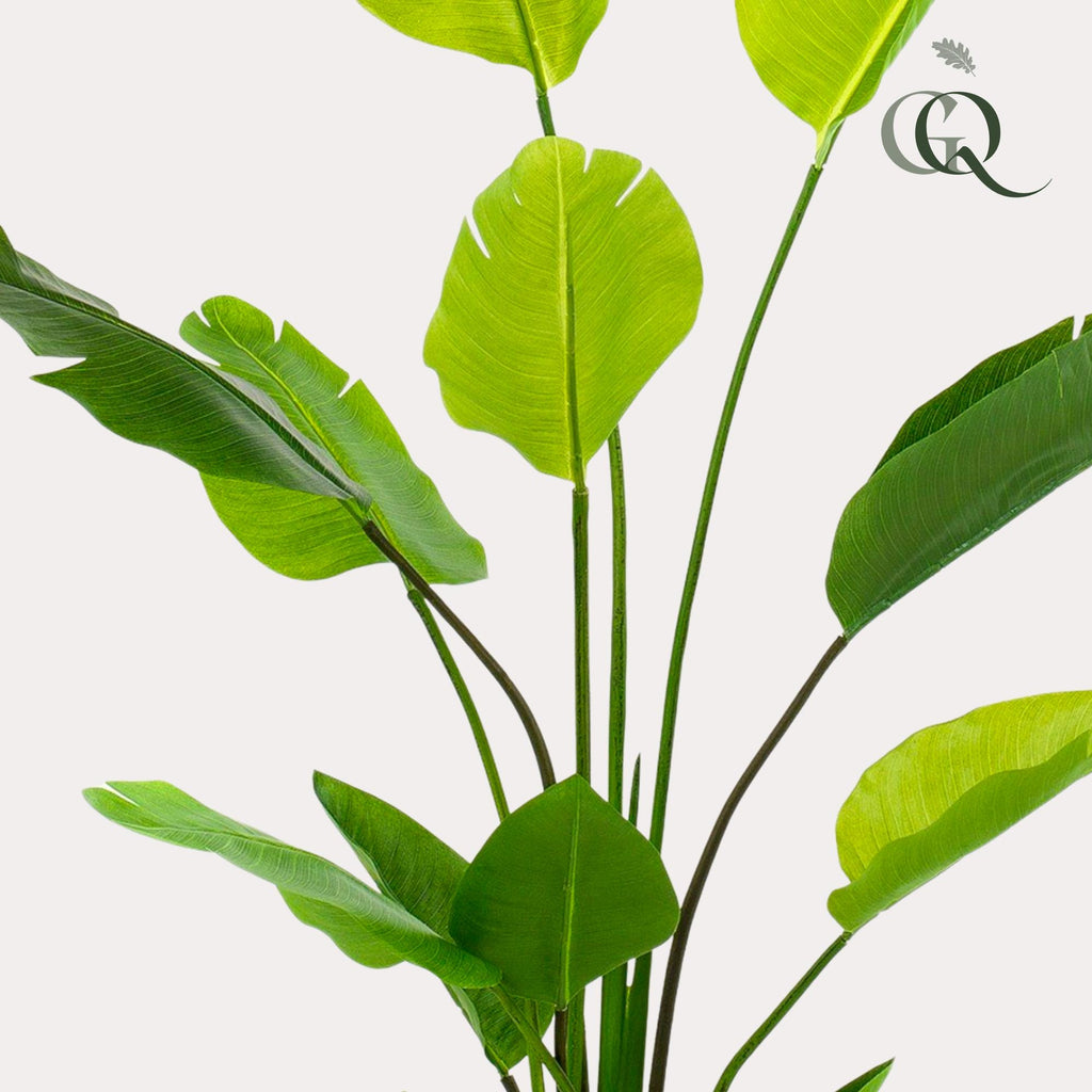 Plante artificielle - Strelitzia Nicolai - Oiseau de paradis - 150 cm