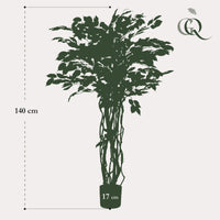 kunstplant - Ficus liana  - Vioolbladplant - 140cm