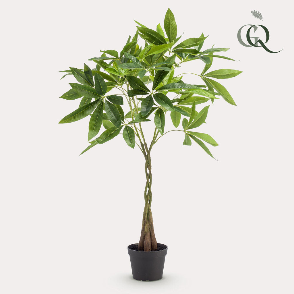 plante artificielle - Pachira aquatica - Arbre à monnaie - 90 cm