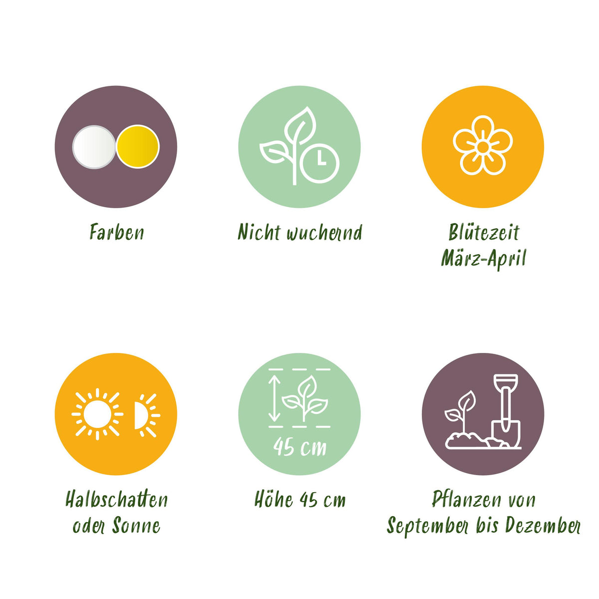 Green boutiQ - Bloembollen - Narcis Large Cupped mix - Kleur Geel en Wit - 15 stuks - Bolmaat 12/14 - XXL Pack