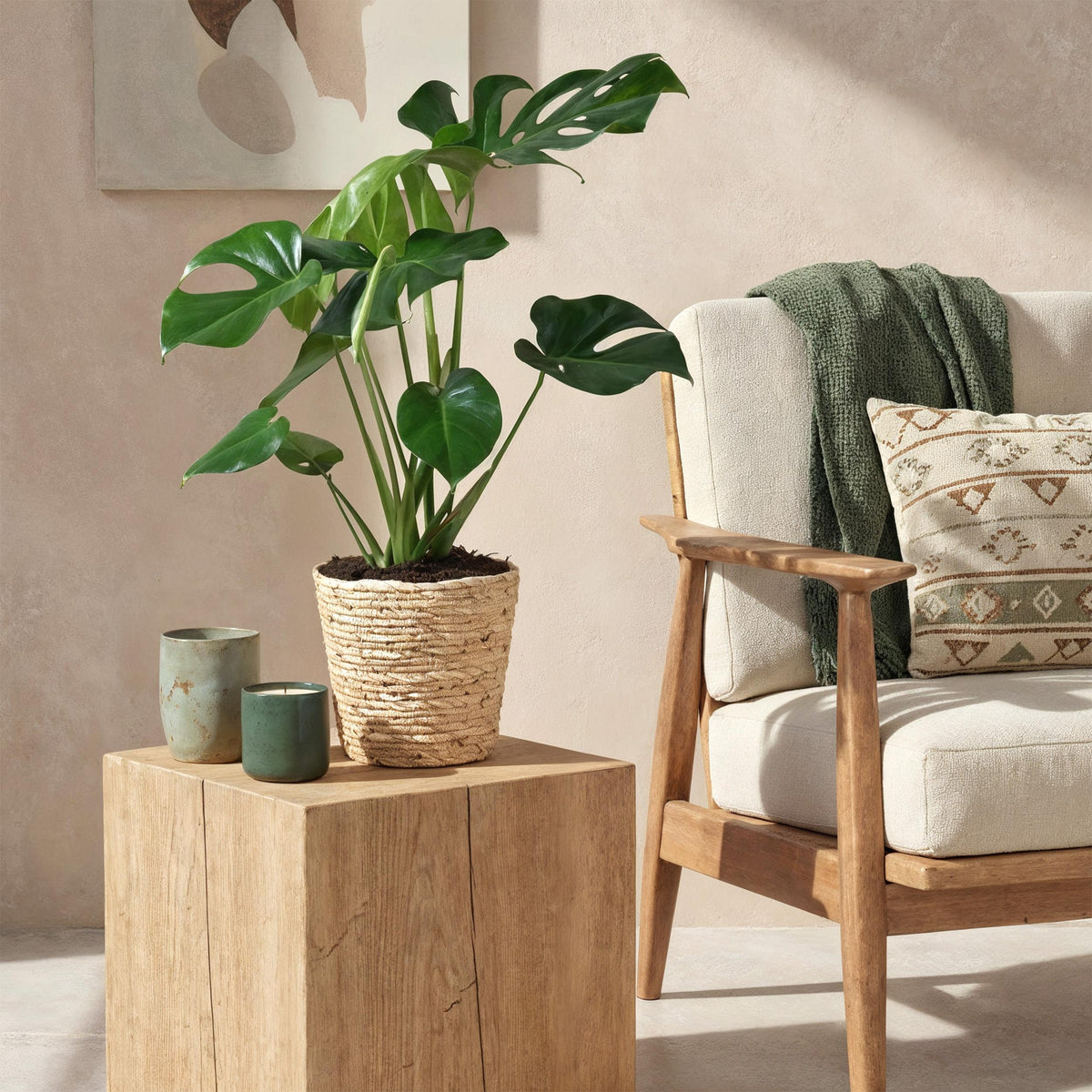 Green BoutiQ - Green is... Kamerplanten - Monstera Deliciosa - Gatenplant - Weinig onderhoud - Groen - 1 Plant - Pot 21cm - Hoogte 70-80cm
