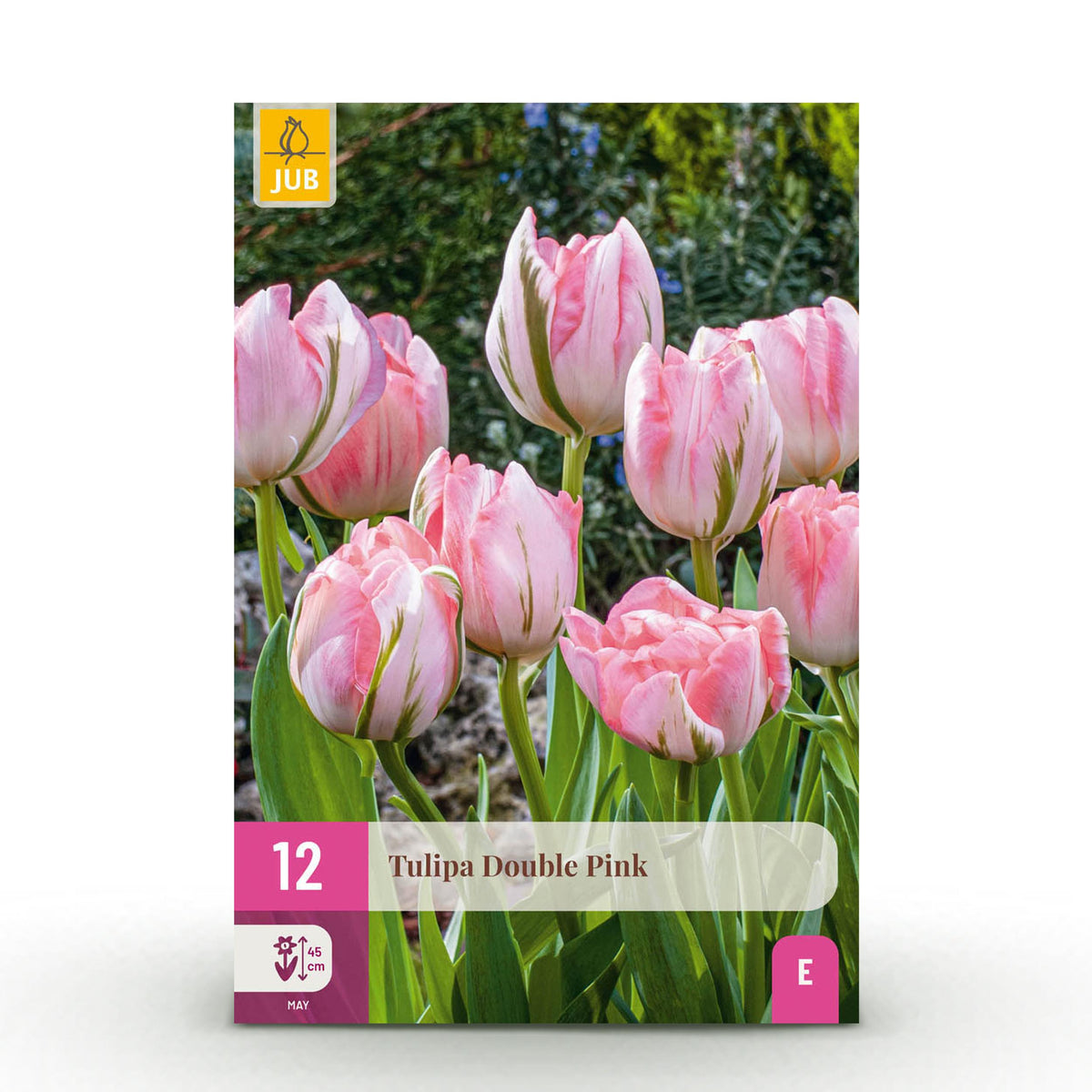 Green boutiQ - Bloembollen - Tulp Double Pink - Kleur Roze - 12 stuks - Bolmaat 11/12 - XXL Pack