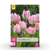 Green boutiQ - Bloembollen - Tulp Double Pink - Kleur Roze - 12 stuks - Bolmaat 11/12 - XXL Pack