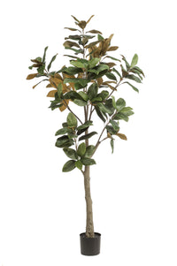 Magnolia Grandiflora - 180 cm - kunstpflanze