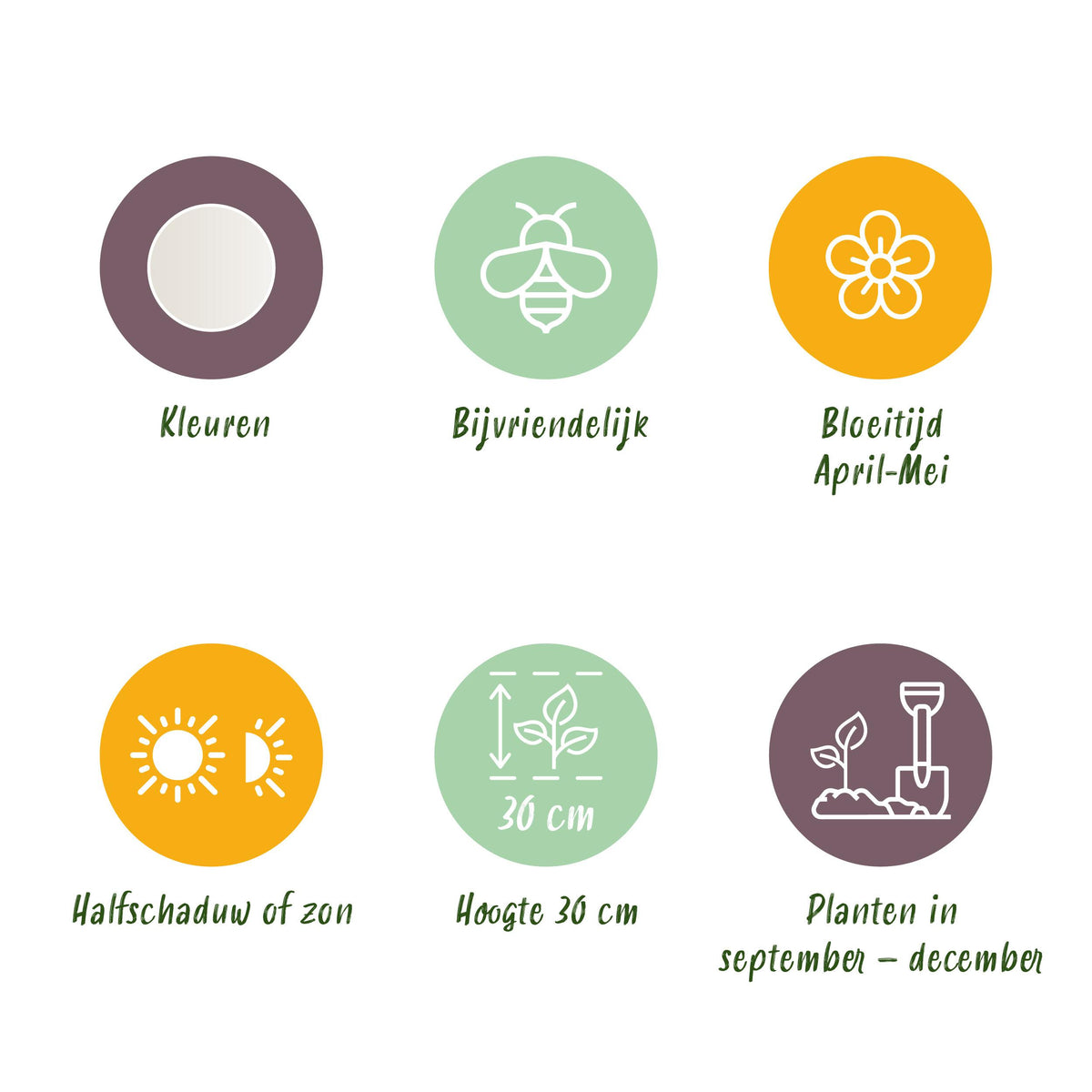 Green boutiQ - Bloembollen - Leucojum Aestivum - Kleur Wit - 20 stuks - Bolmaat 8/9 - XXL Pack