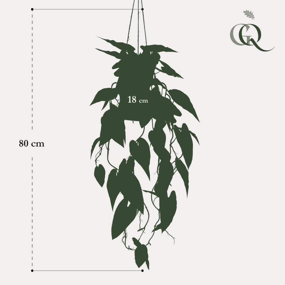 Plante artificielle - Alocasia - Oreille d'éléphant - 80 cm