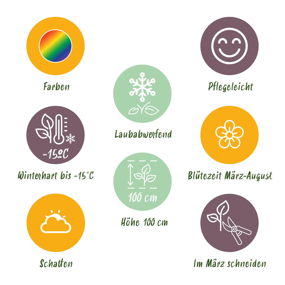 Green boutiQ - Borderpakket - Schaduw - 8 Vaste planten - 1 m2 - Diversen kleuren - Weinig Onderhoud - Pot 11cm