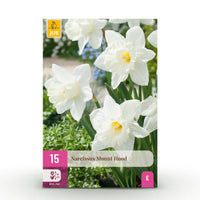 Green boutiQ - Bloembollen - Narcis Mount Hood - Kleur Wit - 15 stuks - Bolmaat 10/12 - XXL Pack