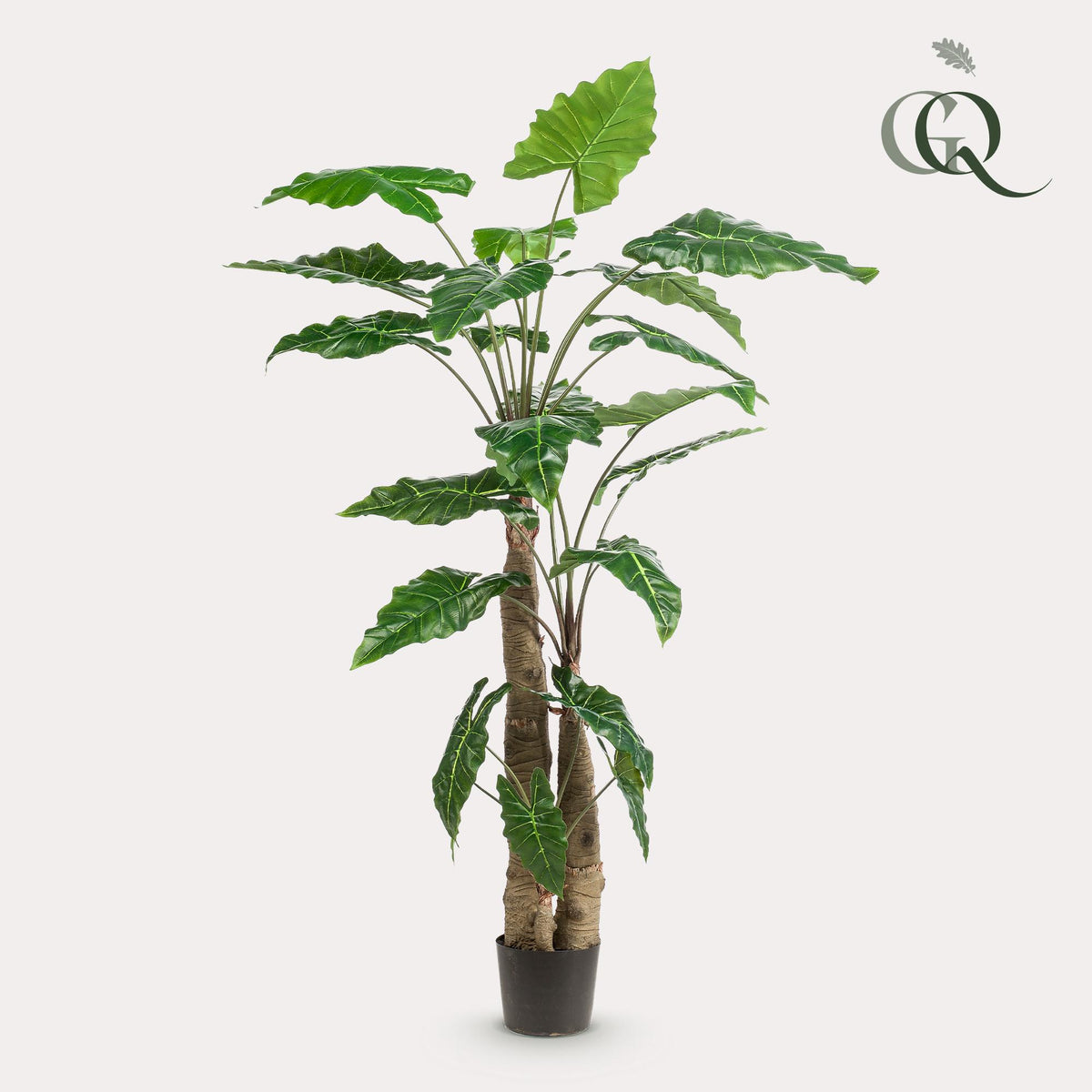 Plante artificielle - Alocasia - Oreille d'éléphant - 180 cm