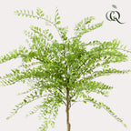 plante artificielle - Sophora - Arbre à miel - 190 cm