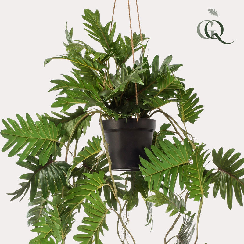Kunstplant - Philodendron - Klimmende boomliefhebber - 80 cm