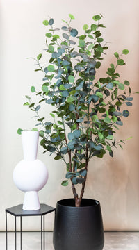 Kunstplant - Eucalyptus - Blauwe Gomboom  - 180 cm