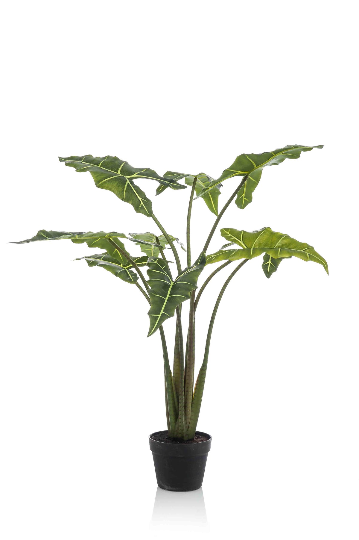 Plante artificielle - Alocasia Frydek - Oreille d'éléphant - 120 cm