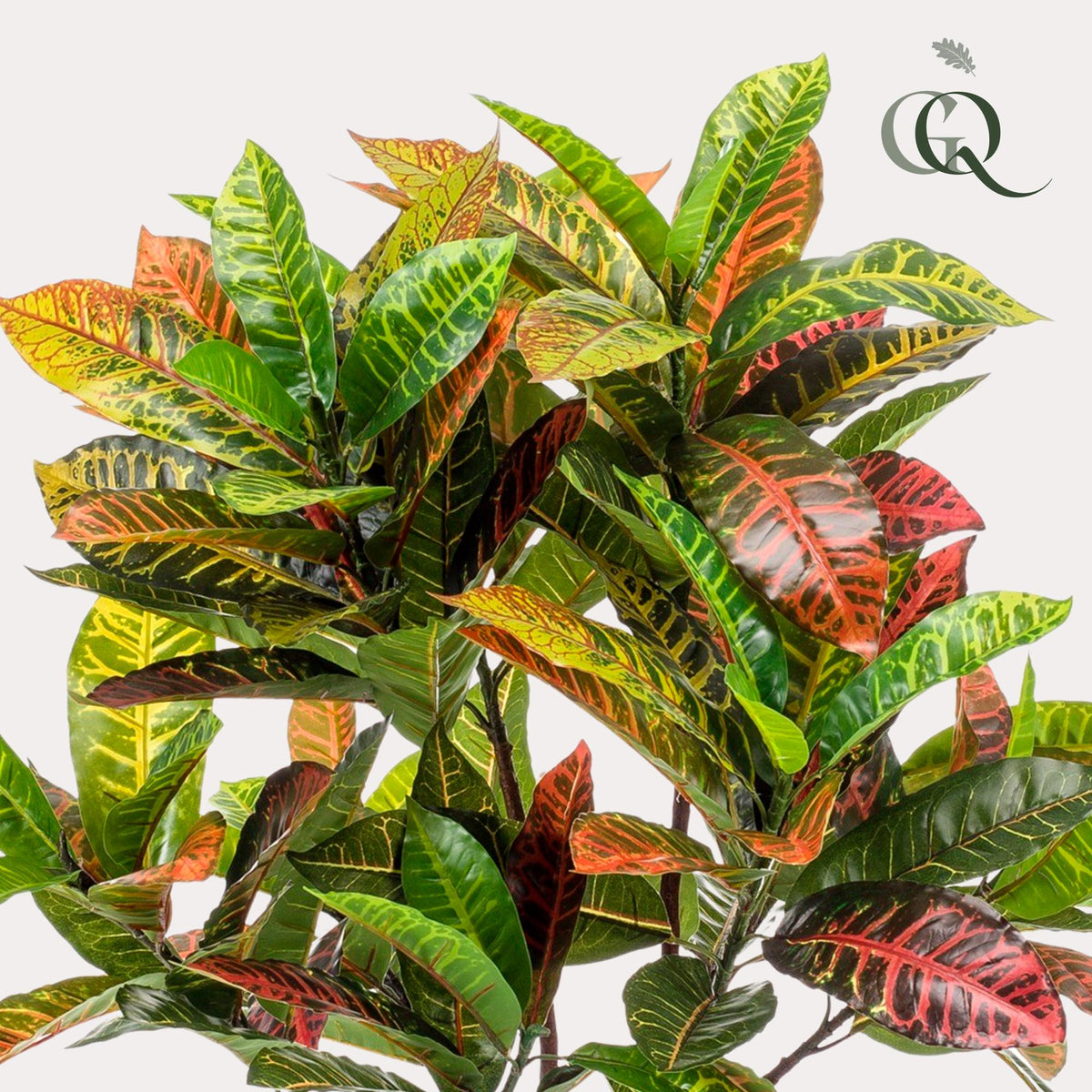 Plante artificielle - Croton Codiaeum - Croton - 120 cm