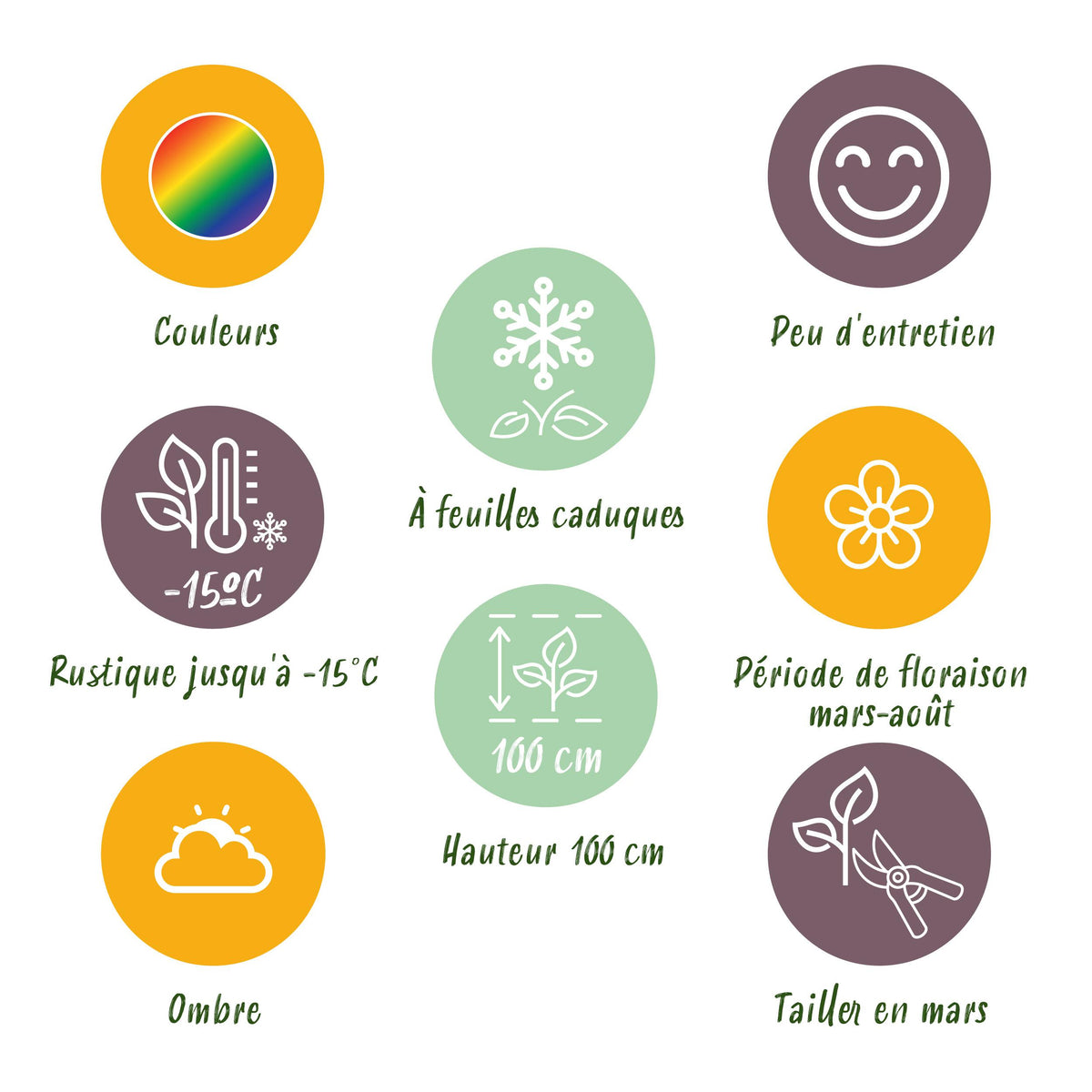 Green boutiQ - Borderpakket - Schaduw - 8 Vaste planten - 1 m2 - Diversen kleuren - Weinig Onderhoud - Pot 11cm