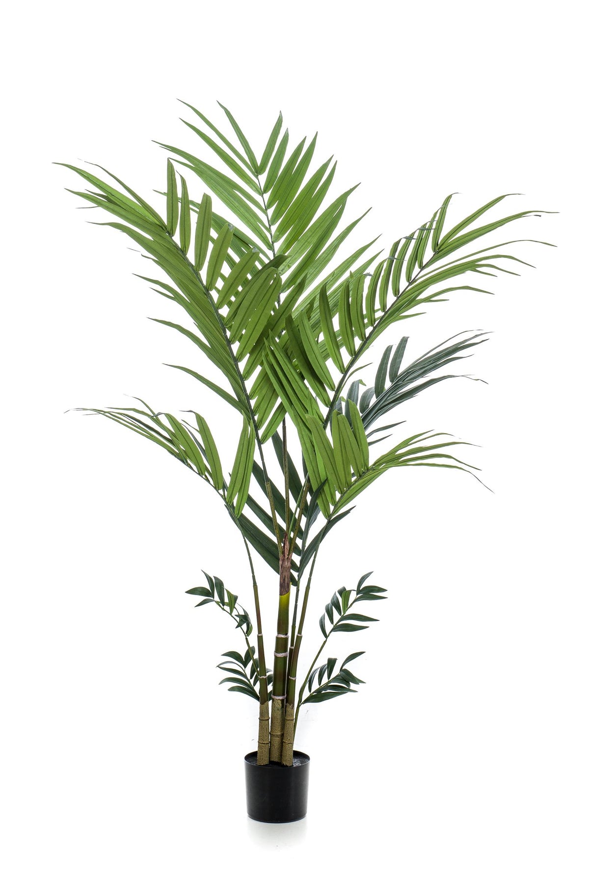 Kentiapalme - 180 cm - kunstpflanze