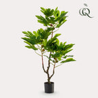 Plante artificielle - Ficus Carica - Figuier - 95 cm