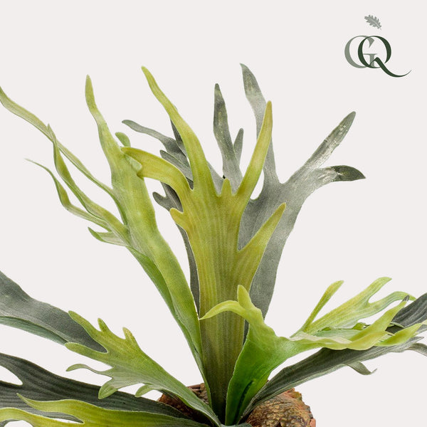 Kunstplant - Staghorn Fern - Hertshoorn - 50 cm