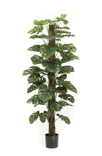 Monstera Deliciosa - Löcherpflanze - 180 cm - kunstpflanze