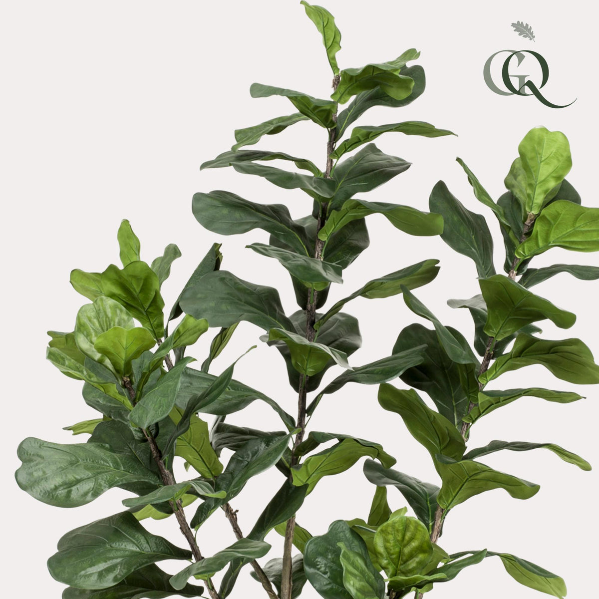 Kunst plant - Ficus Lyrara - Tabaksplant - 210cm XXL - AB