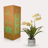 Kunstplant - Orchidee - Geel - 45cm