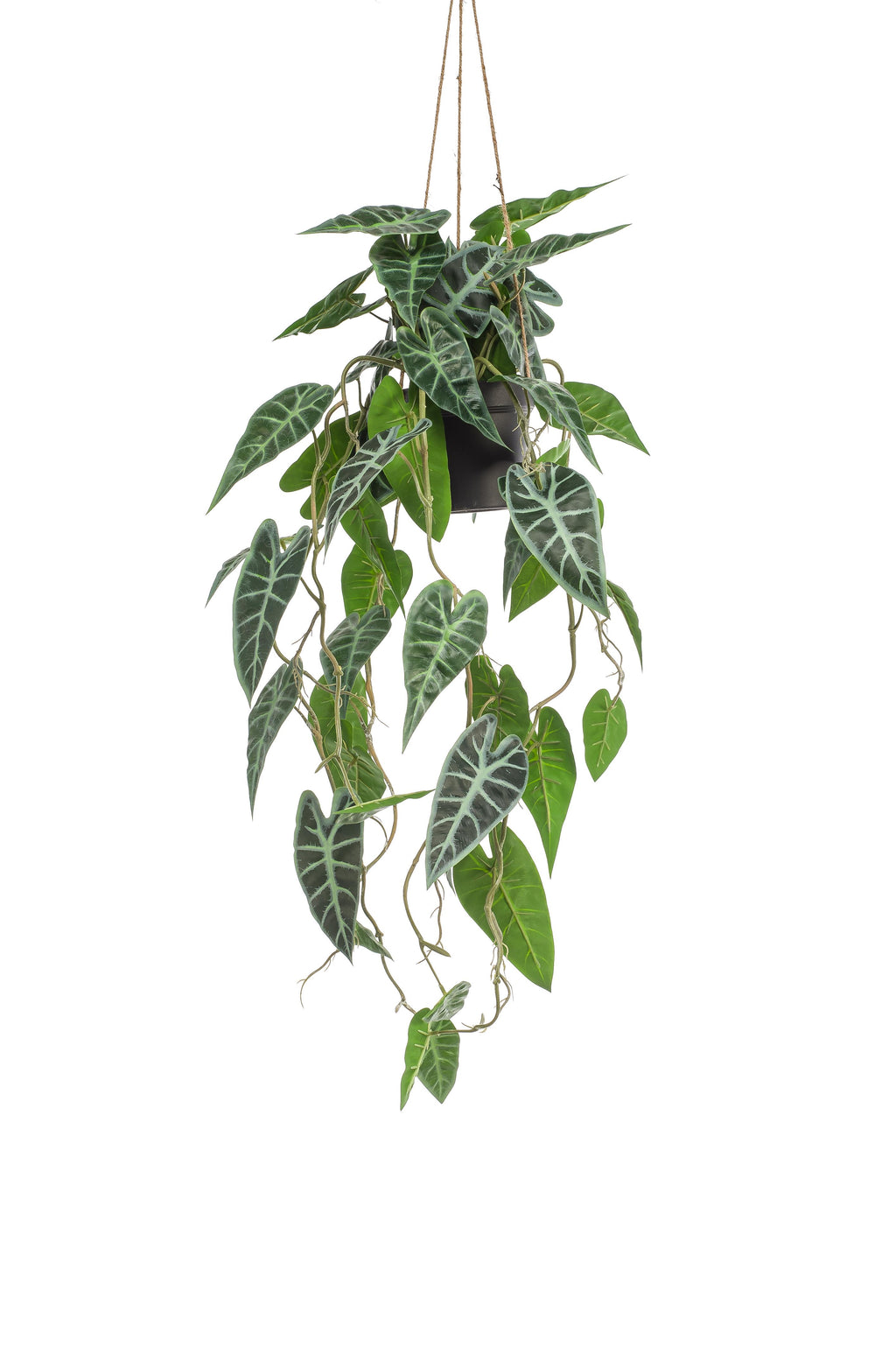 Plante artificielle - Alocasia - Oreille d'éléphant - 80 cm