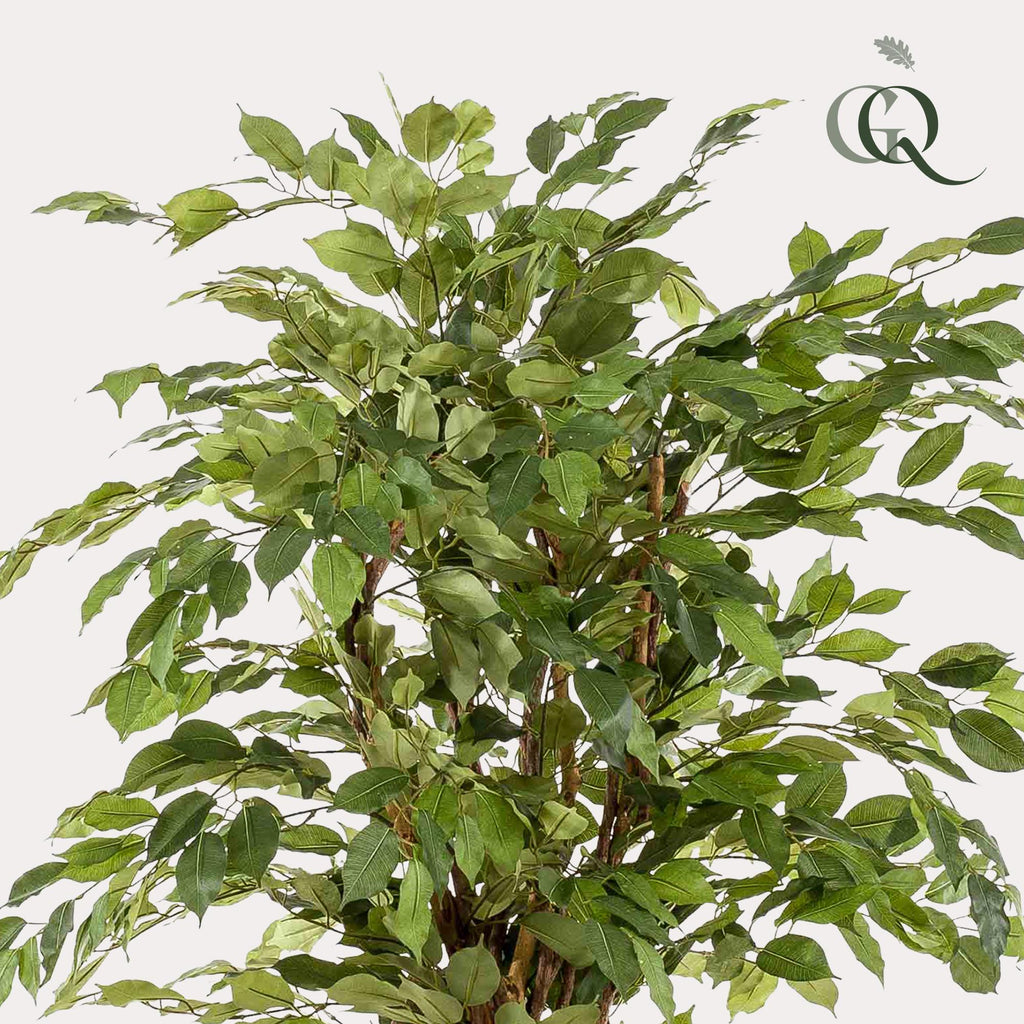 Plante artificielle - Ficus liana - Figuier lyre - 170 cm