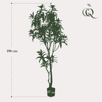 Kunstplant - Dracaena - Drakenboom - 190 cm