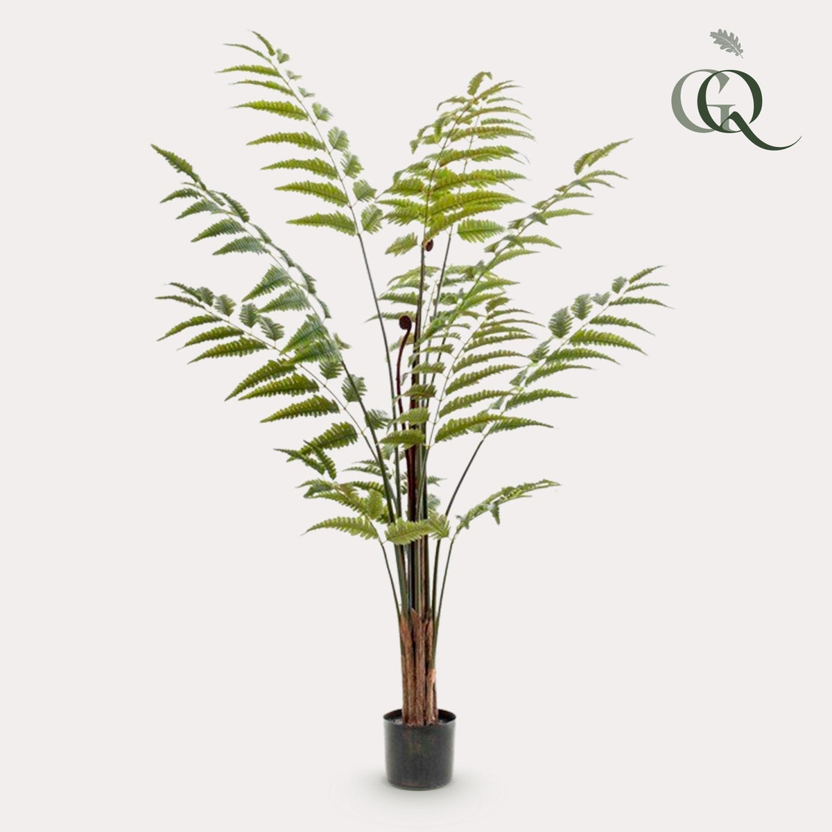 Plante artificielle - Rumohra Adiantiformis - Fougère de cuir - 150 cm