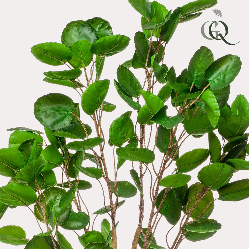 Plante artificielle - Polyscias - Aralia - 150 cm