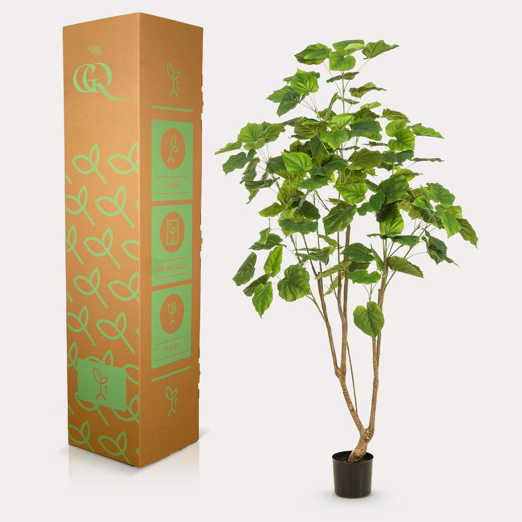 Plante artificielle - Ficus umbellata - Figuier africain - 180 cm