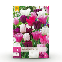 Green boutiQ - Bloembollen - Tulp Pastel mix - Diversen Kleuren - 12 stuks - Bolmaat 11/12 - XXL Pack