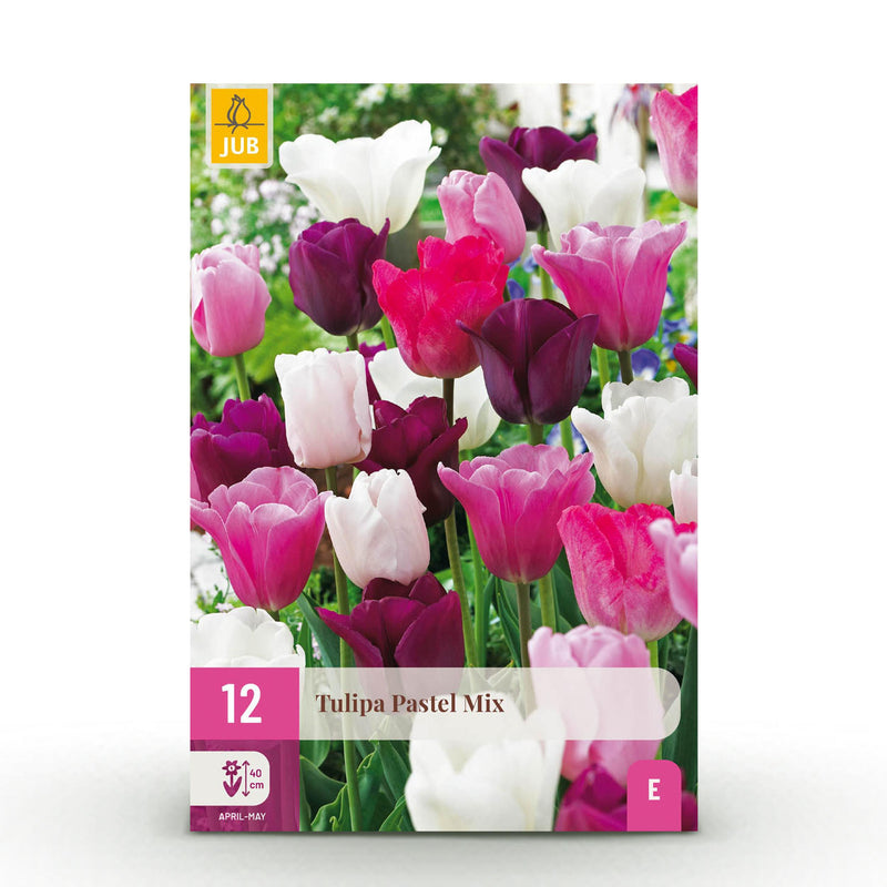 Green boutiQ - Bloembollen - Tulp Pastel mix - Diversen Kleuren - 12 stuks - Bolmaat 11/12 - XXL Pack