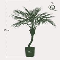 Chamaedorea Elegans- Bergpalme - 85 cm -kunstpflanze