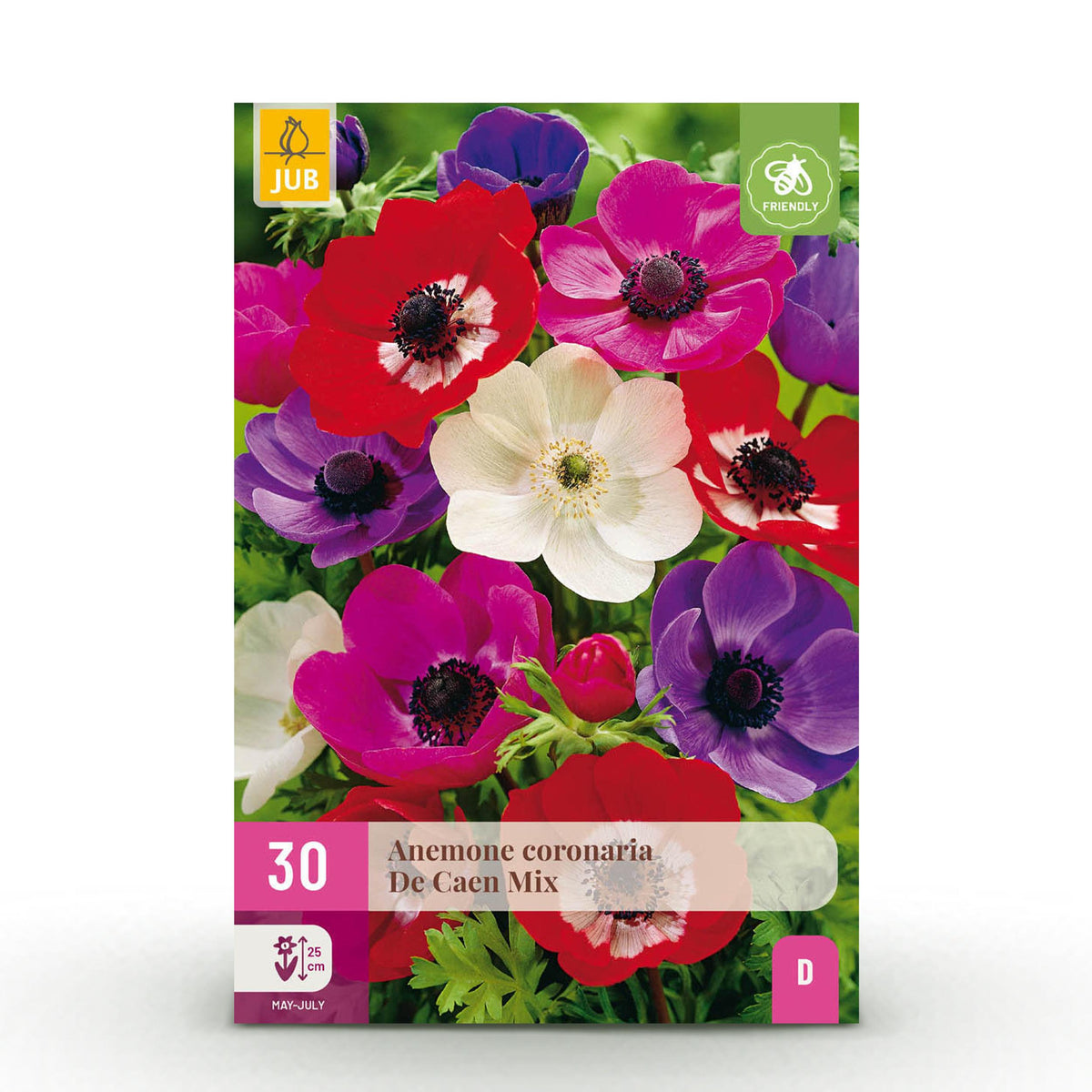 Green boutiQ - Bloembollen - Anemone de Caen mix - Diversen Kleuren - 30 stuks - Bolmaat 5/6 - XXL Pack