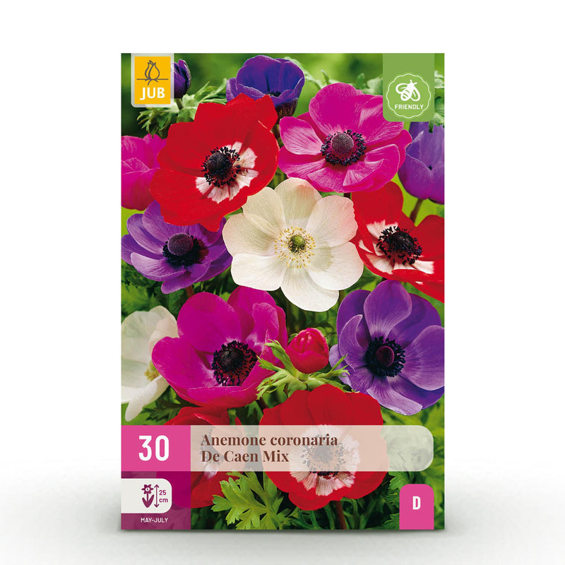 Green boutiQ - Bloembollen - Anemone de Caen mix - Diversen Kleuren - 30 stuks - Bolmaat 5/6 - XXL Pack
