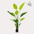 Plante artificielle - Strelitzia Nicolai - Oiseau de paradis - 150 cm