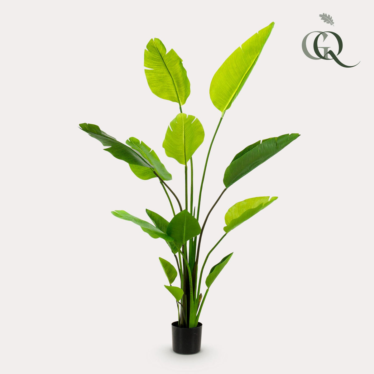 Plante artificielle - Strelitzia Nicolai - Oiseau de paradis - 150 cm