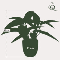 Kunstplant - Calathea Dots - Schaduwplant - 38 cm