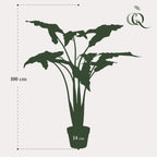 Plante artificielle - Alocasia Frydek - Oreille d'éléphant - 120 cm