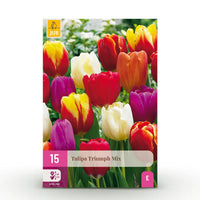 Green boutiQ - Bloembollen - Tulp Triumph mix - Diversen kleuren - 15 stuks - Bolmaat 11/12 - XXL Pack