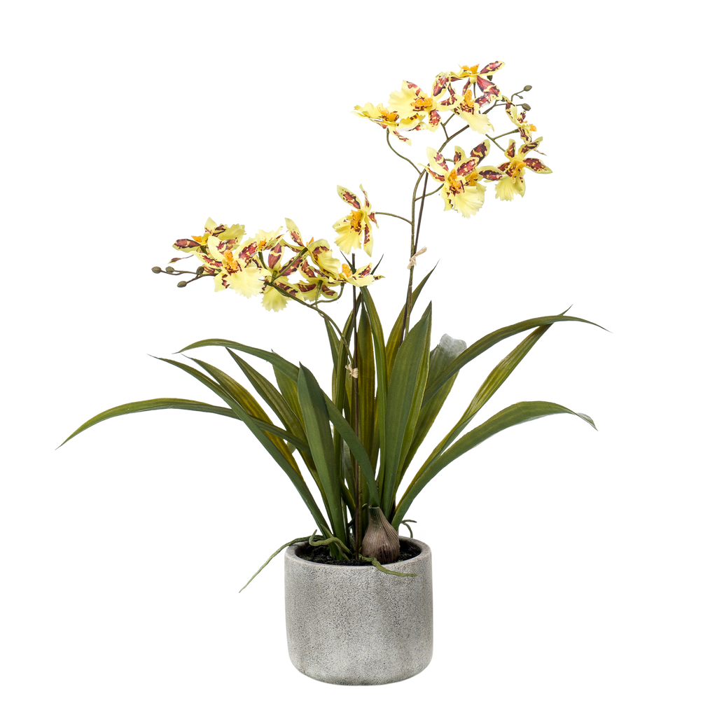 Plante artificielle - Orchidée - Jaune - 45cm