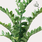 Plante artificielle - Zamioculcas - Palmier d'intérieur - 110 cm