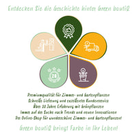 Green boutiQ - Borderpakket - Bodembedekkend - 8 Vaste planten - 1 m2 - Diversen kleuren - Weinig Onderhoud - Pot 11cm