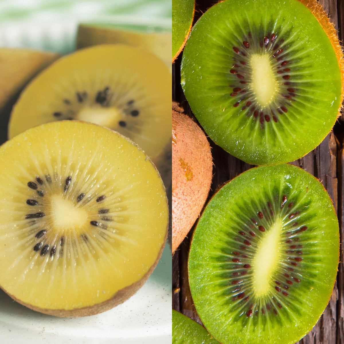 Green boutiQ - Fruitplant - Groene & Gele Kiwi - Actinidia deliciosa Jenny & Golden Kiwi  - 2 planten  - Pot 15cm Hoogte 50cm