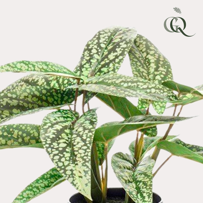 Calathea Dots - 38 cm - kunstpflanze