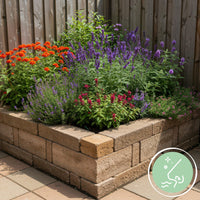 Green boutiQ - Borderpakket - Geurend - 8 Vaste planten - 1 m2 - Diversen kleuren - Weinig Onderhoud - Pot 11cm