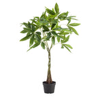 plante artificielle - Pachira aquatica - Arbre à monnaie - 90 cm