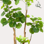 Kunstpflanze - Polyscias - Aralie - 135 cm